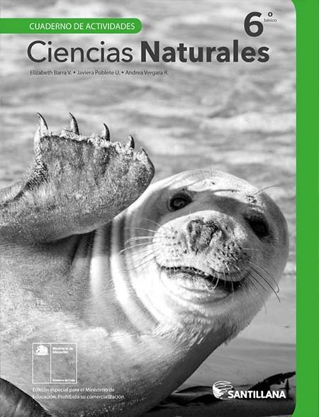 cuaderno actividades Ciencias Naturales 6º Básico pdf para descargar cuaderno actividades Ciencias Naturales 6º Básico pdf para descargar