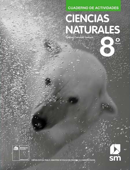 Cuaderno de Actividades Ciencias Naturales 8º Básico pdf para descargar Cuaderno de Actividades Ciencias Naturales 8º Básico pdf para descargar