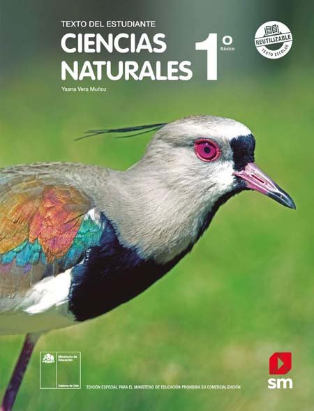libro de Ciencias Naturales 1º Básico pdf para descargar libro de Ciencias Naturales 1º Básico pdf para descargar