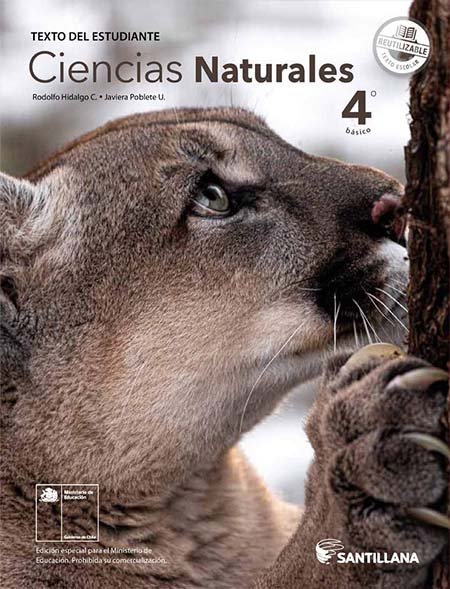 libro de Ciencias Naturales 4º Básico pdf para descargar libro de Ciencias Naturales 4º Básico pdf para descargar