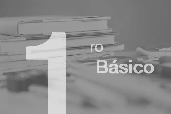 libros-primero-basico-textos-escolares