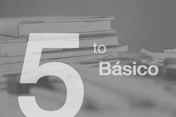 libros-quinto-basico-textos-escolares