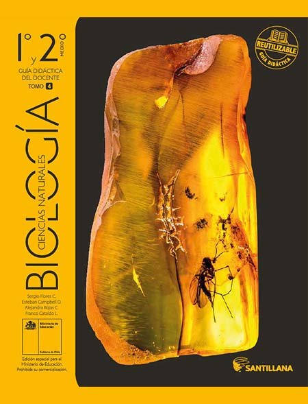 Respuesta del Libro de Biología 2º Medio pdf para descargar