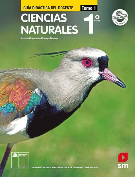 Respuesta del Libro de Ciencias Naturales 1º Básico pdf para descargar