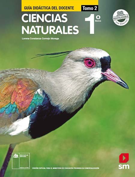 Respuesta del Libro de Ciencias Naturales 1º Básico pdf para descargar