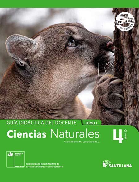 Respuesta del Libro de Ciencias Naturales 4º Básico pdf para descargar