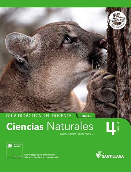 Respuesta del Libro de Ciencias Naturales 4º Básico pdf para descargar