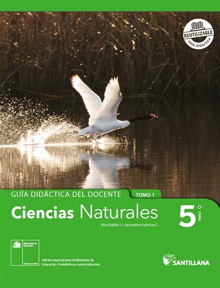Respuesta del Libro de Ciencias Naturales 5º Básico pdf para descargar